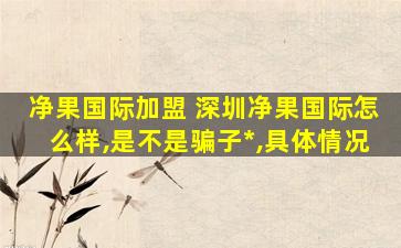 净果国际加盟 深圳净果国际怎么样,是不是骗子公司,具体情况
